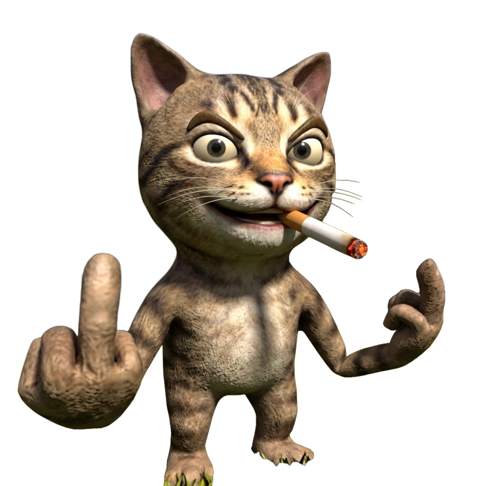 Smoking Cat